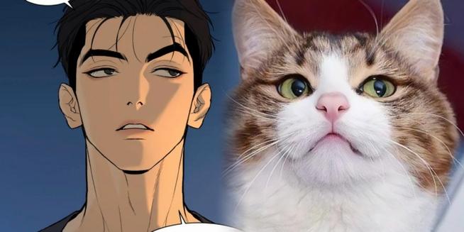 韩漫猫破解版图标
