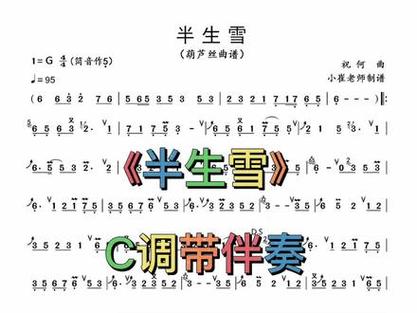 半生雪伴奏mp3完整版免费截图