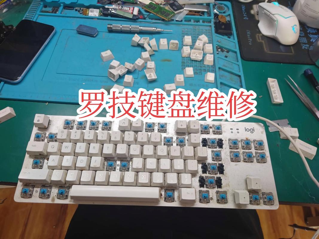 wps上下左右键不能换格了