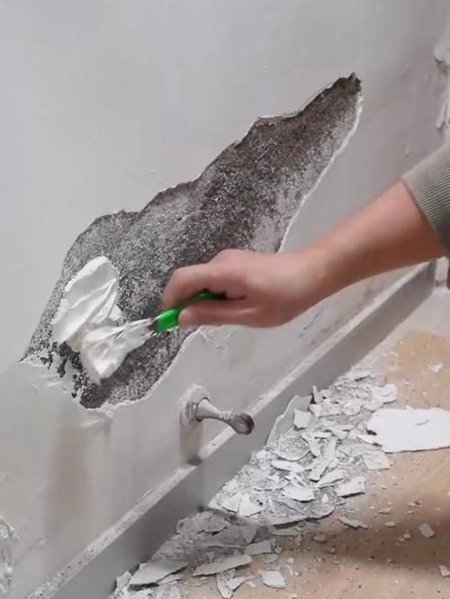 墙掉皮用什么能粘住游戏截图