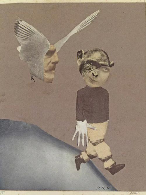 蒙太奇官网图标
