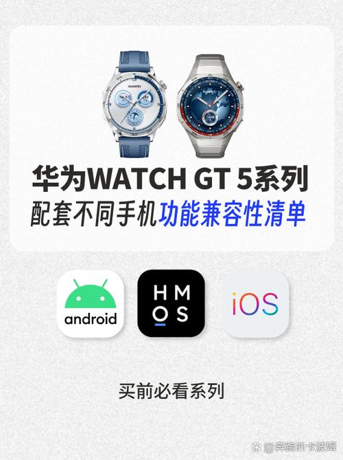 华为穿戴苹果手机版更新时间图标