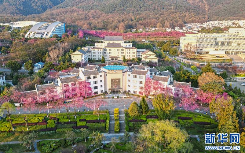 大理大学视频截图