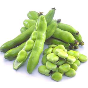 蚕豆图片
