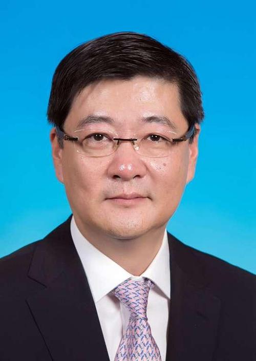 金山区主要领导截图