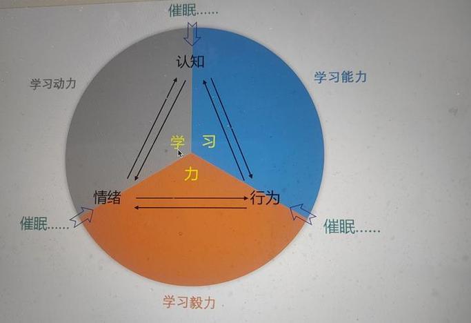 催眠校园(认知修改)小说完截图