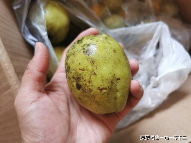 白吃白拿截图
