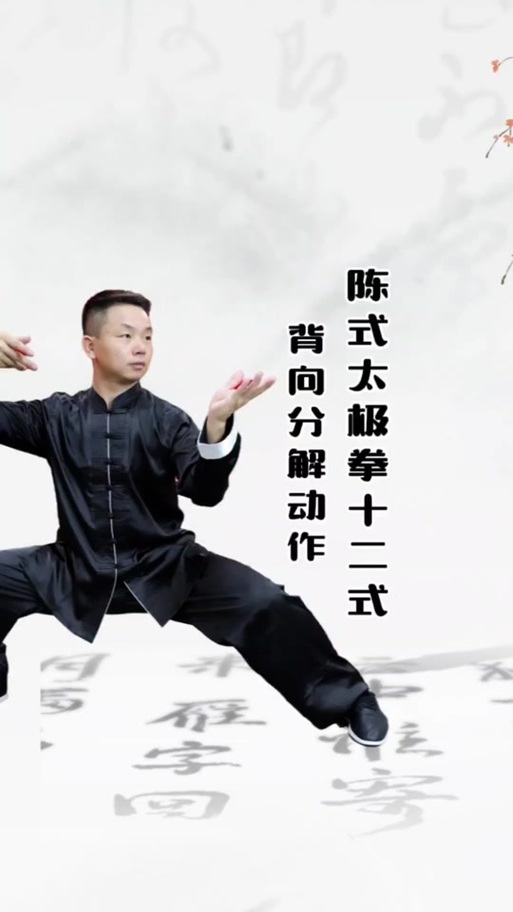 十二式简化太极拳截图