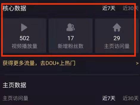 抖音浏览量在哪里看游戏截图