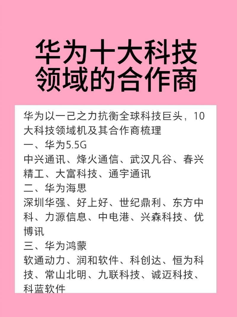 华为公司是合弄制吗截图