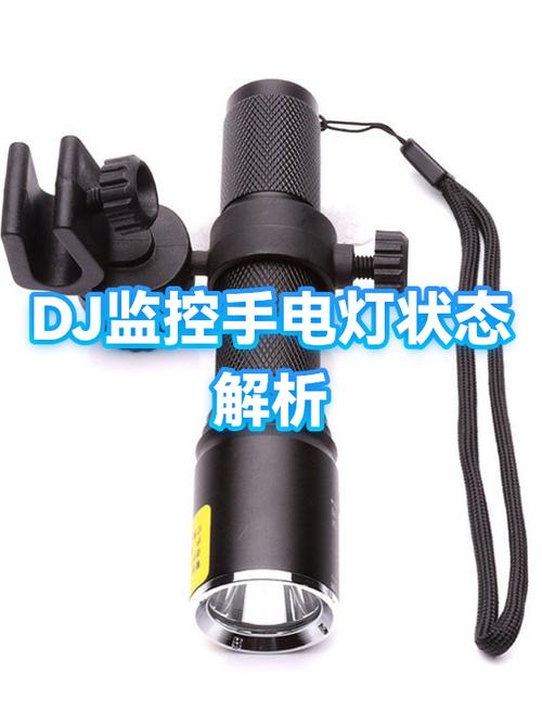 监控摄像头灯一直亮是什么原因游戏截图
