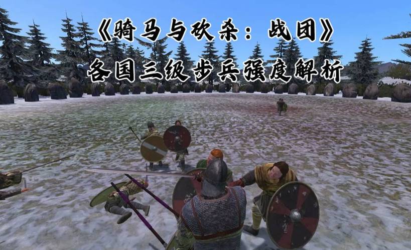 骑马与砍杀战团国家vip截图