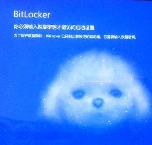 苹果面部解锁不能用了
