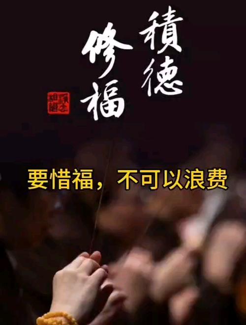 关于惜福的唯美句子游戏截图