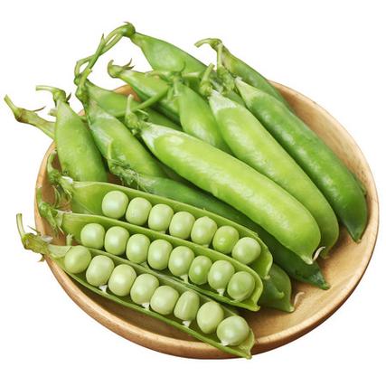 豌豆荚2022