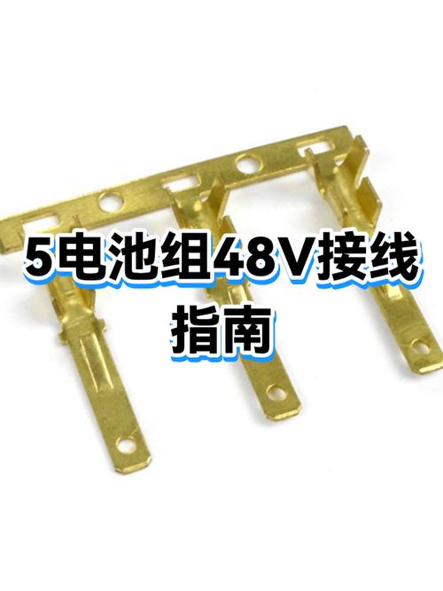 5块电池48v电动车电池接线图缩略图