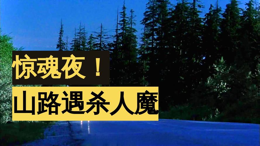 电影《山路惊情》免费观看