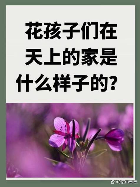 发“哈哈哈哈”表情能表达什么含义缩略图