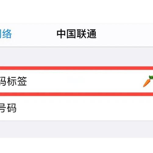 苹果11支持双卡双待怎么用