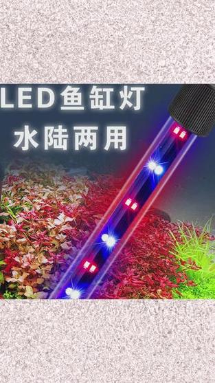 鱼缸的led灯需要一直开着吗