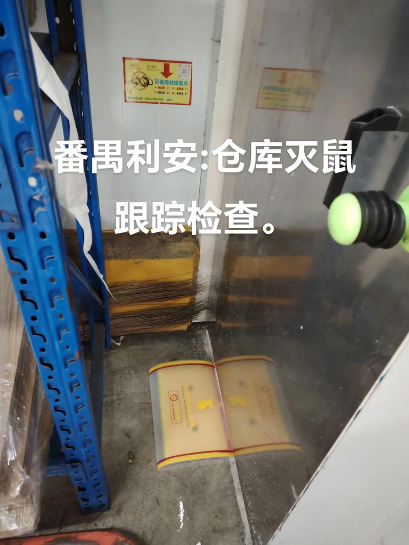 松鼠症仓库为什么没了截图