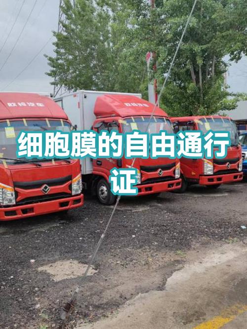 解除引导式访问图标