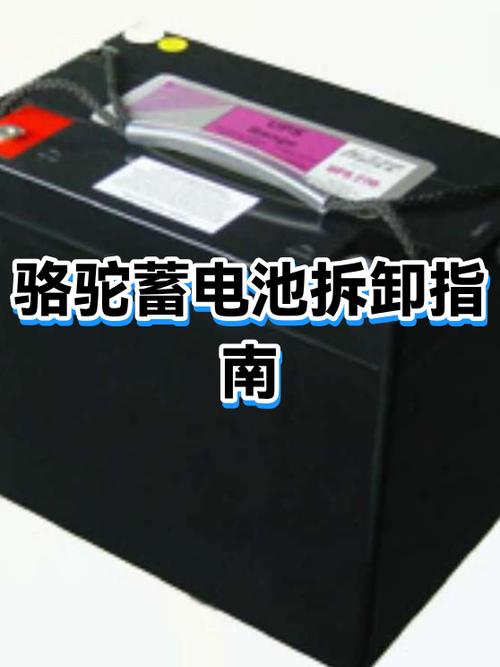 拆卸骆驼电瓶的方法图标