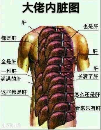 我的世界肝帝老哥建造后室