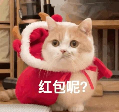 18.8红包是要抱抱吗缩略图