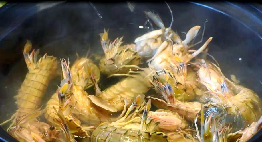 皮皮虾和虾虎图标