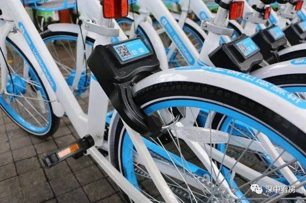 哈啰共享单车客服电话游戏截图