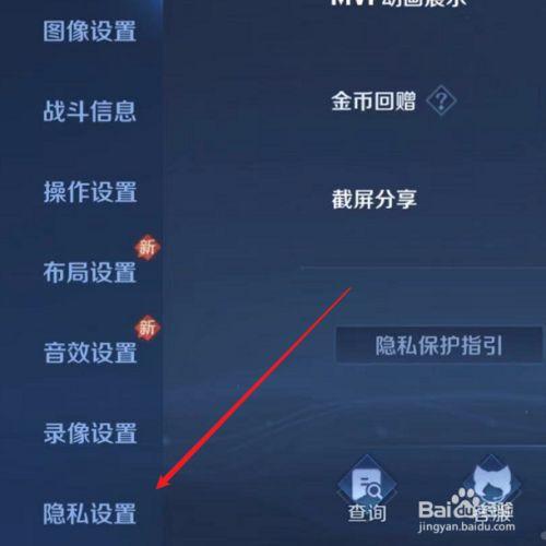 王者荣耀动作在哪里添加截图