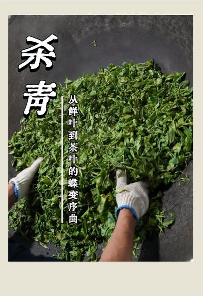 茶叶杀青的正确方法