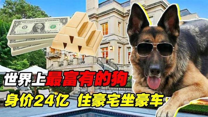 旅行世界app分红狗图标