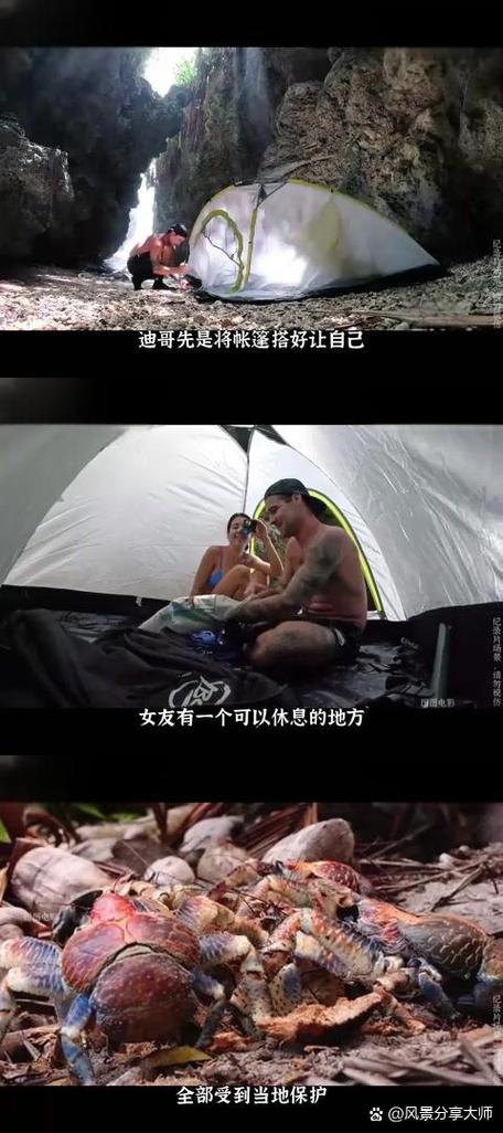 荒岛求生韩国电影免费观看
