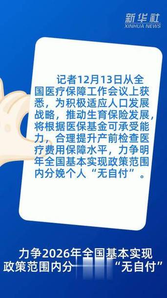 政策范围内办的意思截图