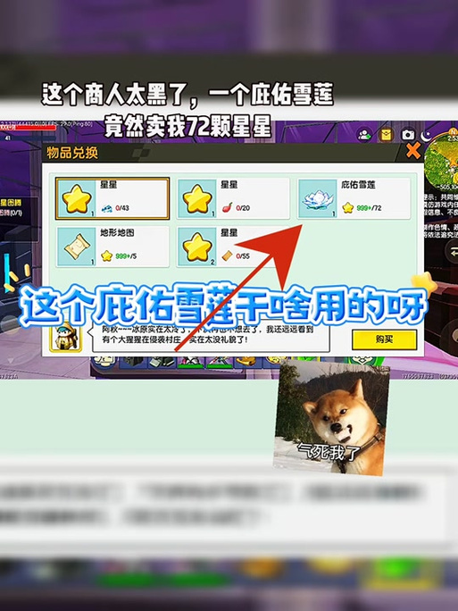 迷你世界装备庇护是什么意思缩略图