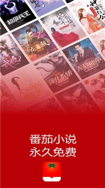 小说阅读网