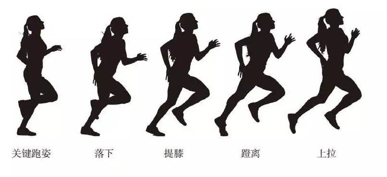 跑步软件哪个最好图标