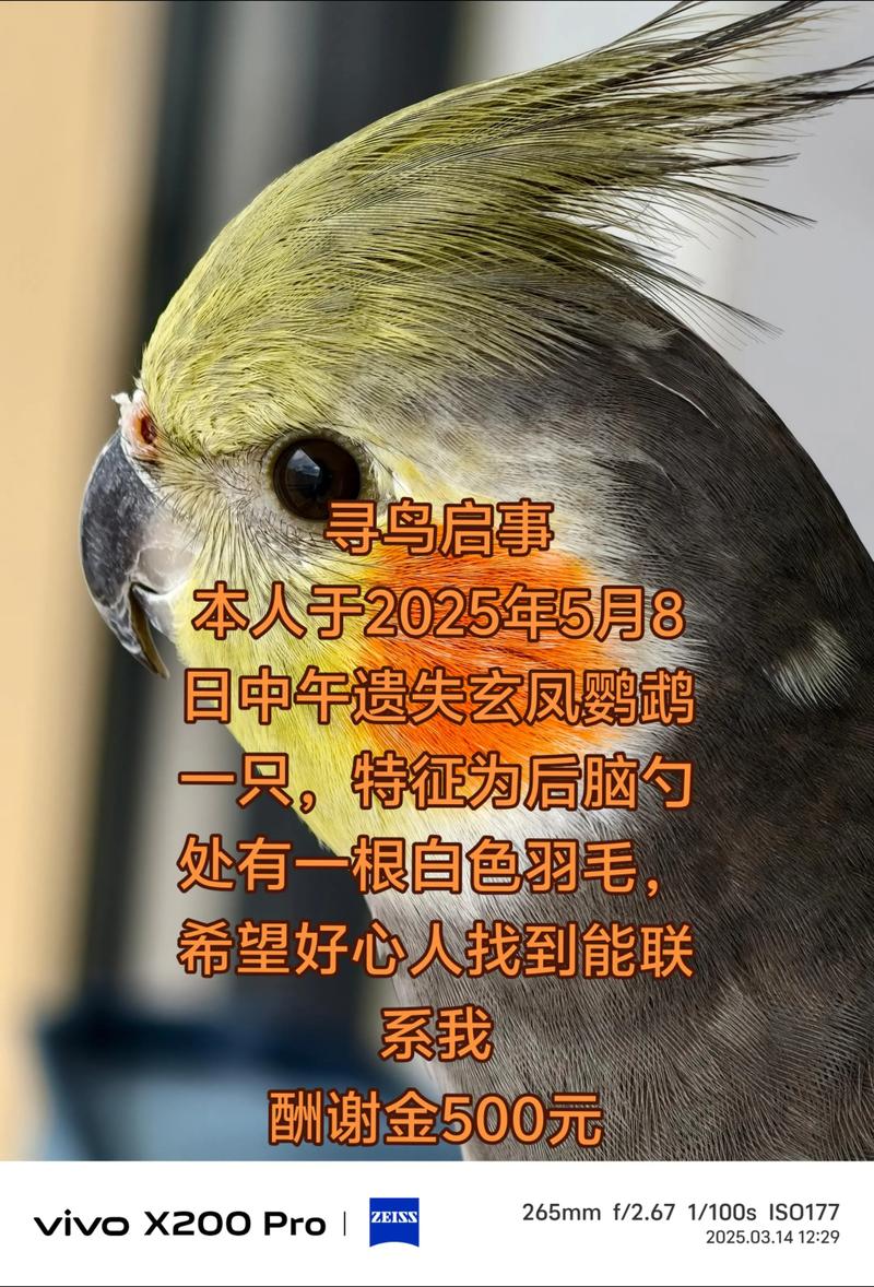 追剧鸟截图