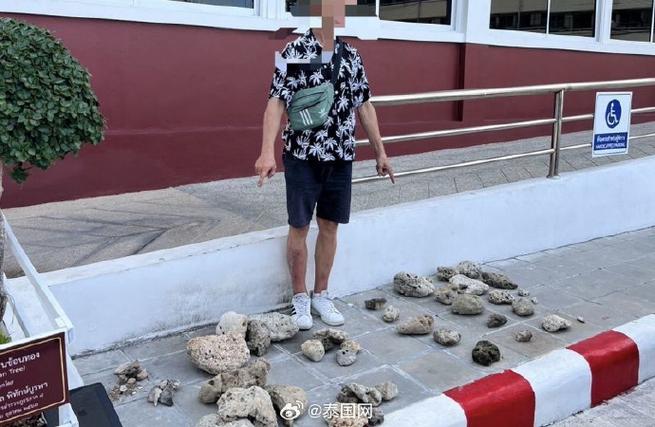 珊瑚什么时候禁止开采截图
