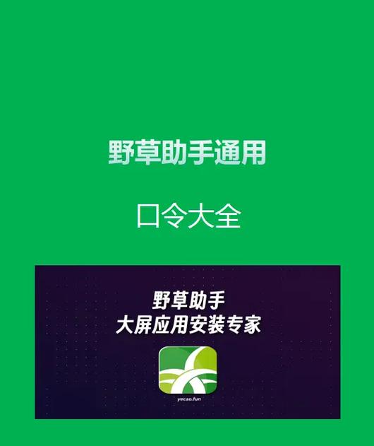 支付宝吱口令的作用截图
