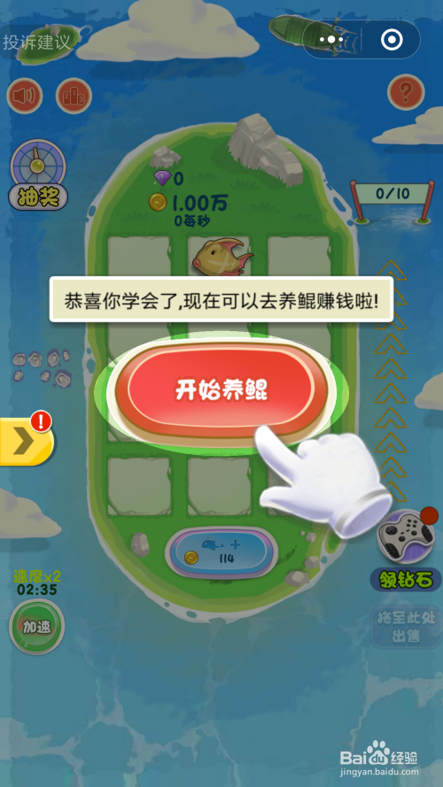 全民养鲲满级是多少游戏截图