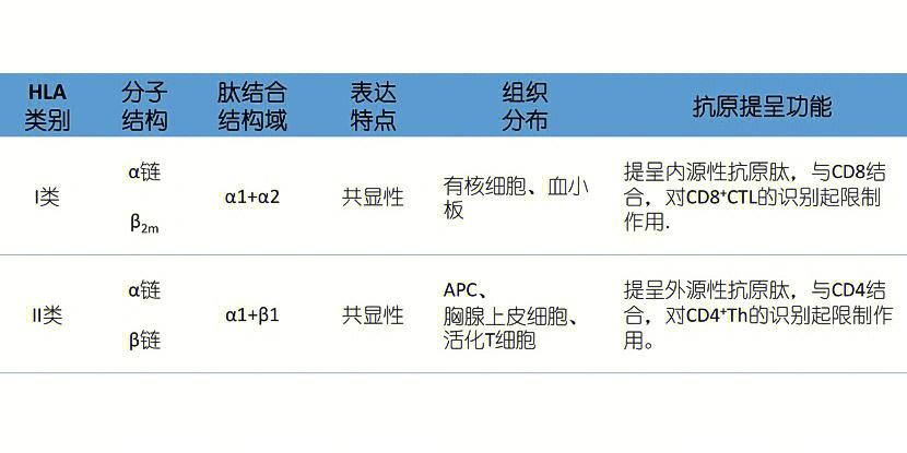 APC的功效与作用游戏截图