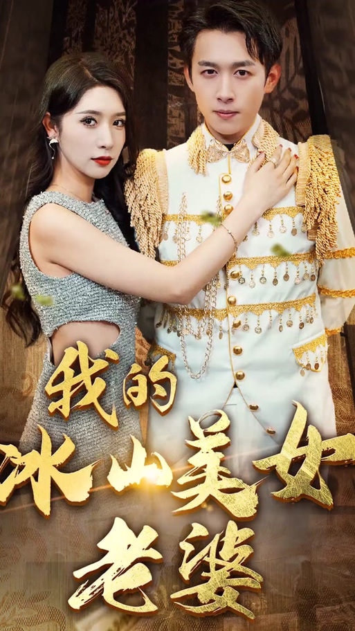 我的老婆冰山美女免费阅读