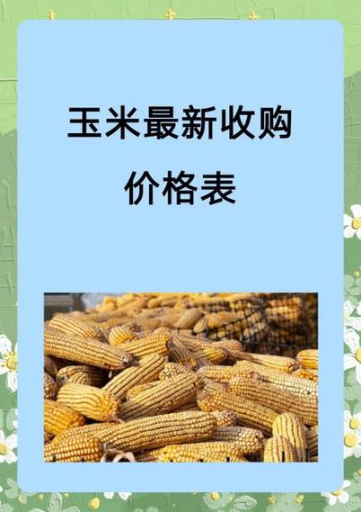 玉米价格最新行情图标