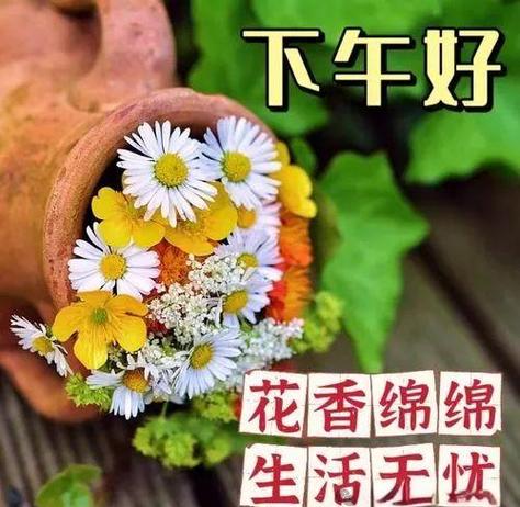 下午好暖心祝福语缩略图