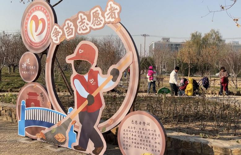 中国志愿者注册登录入口游戏截图