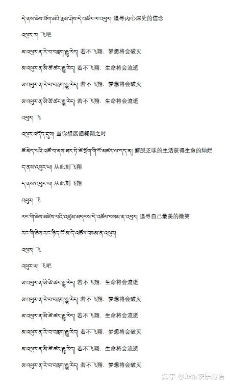 vivo语言藏语改中文截图