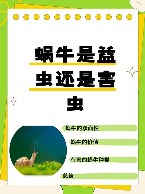 蜗牛官方网